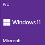 Windows Professional